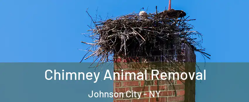 Chimney Animal Removal Johnson City - NY