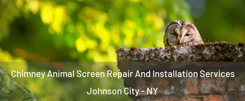  Chimney Animal Screen Repair And Installation Services Johnson City - NY
