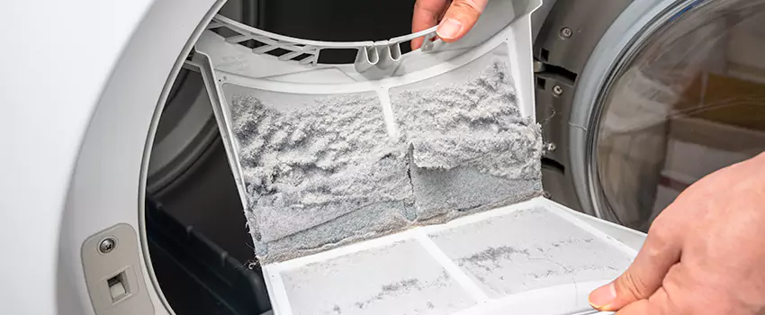 Best Dryer Lint Removal Company in Johnson City, New York