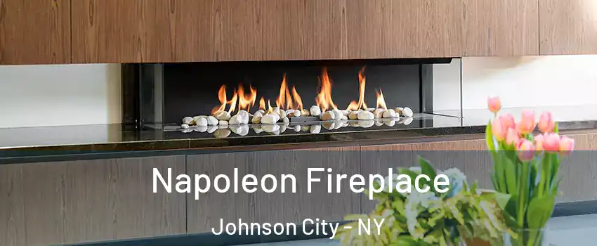  Napoleon Fireplace Johnson City - NY